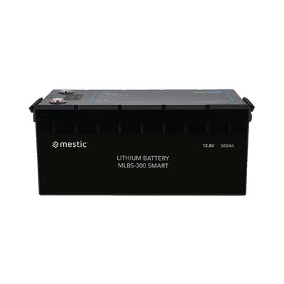 Mestic LiFePO4 lithium accu MLBS-300 smart – inclusief montage